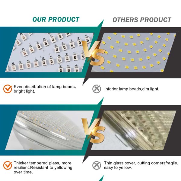 Best Lighting Options for Commercial Pools: Pentair LED Lights vs. Cyangourd Lighting