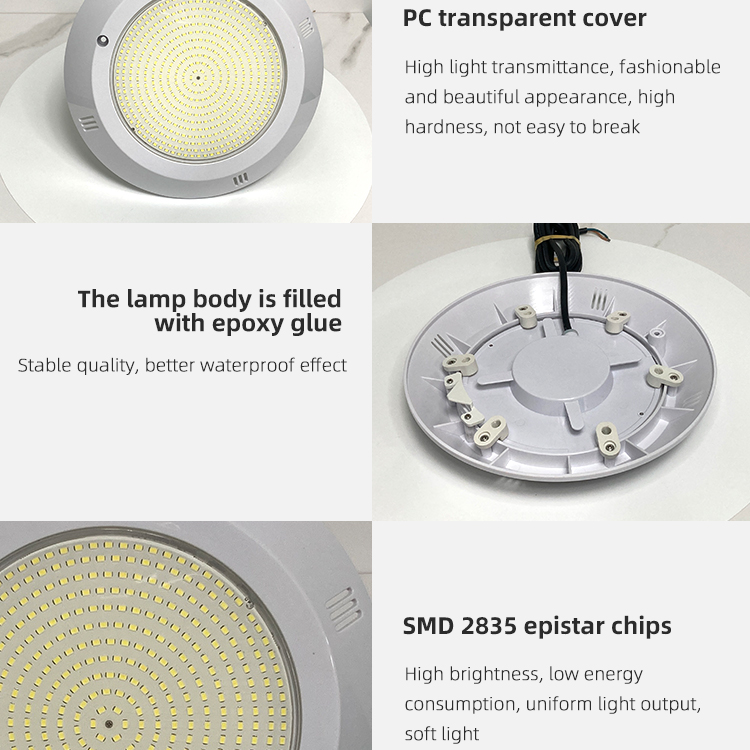 1737037296663541.jpg 9.jpg